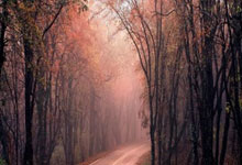 征途国际体育：[NBA]詹姆斯和布朗尼同时登场 NBA历史首次父子同台.