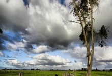 征途国际体育：曼联射门差细节揭秘！阿莫林点名批评一人，夏窗买前锋获数据支持.