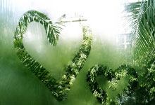 征途国际体育：一年内三名球员确诊深静脉血栓，这病为何找上了NBA球员？.