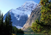 征途国际体育：客场不敌阿根廷，巴西首次在世预赛中被打进4球.